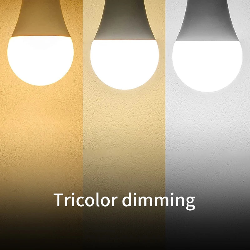 LED Light Bulbs Set (5-Pack)