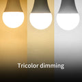 LED Bulb Set – Multiple Wattages