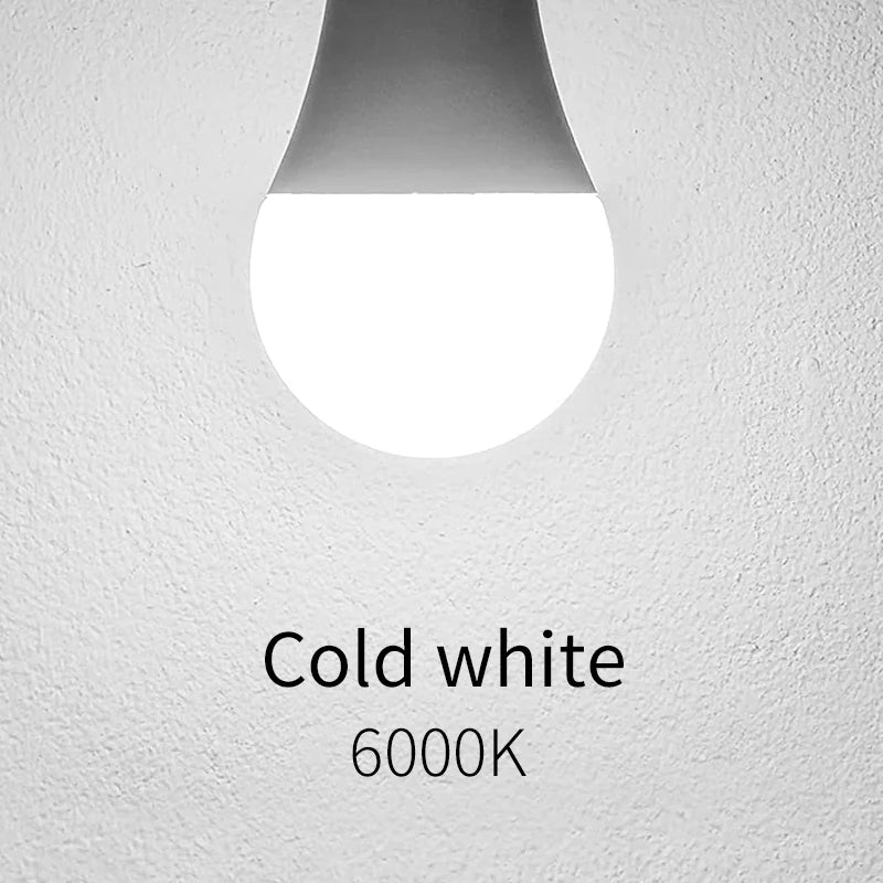 LED Bulb Set – Multiple Wattages