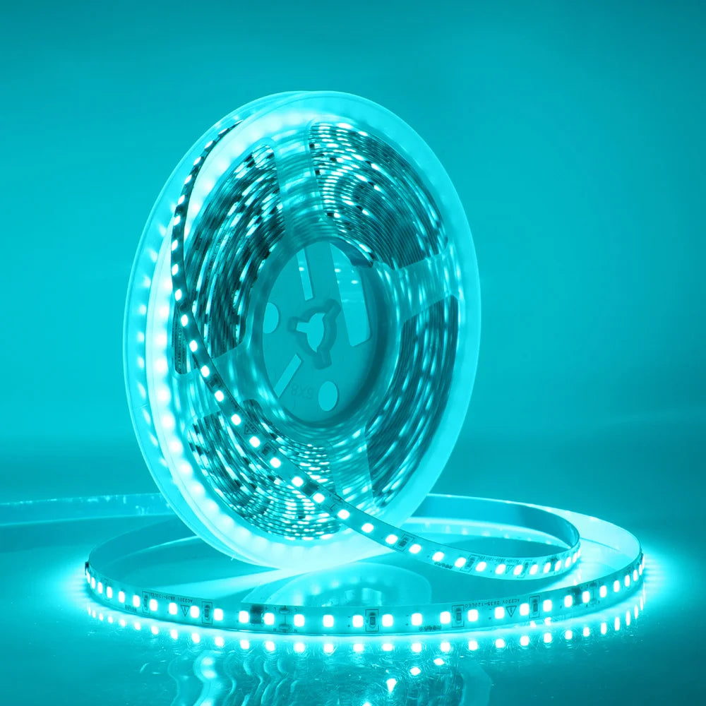 220V Flexible Adhesive LED Strip Light