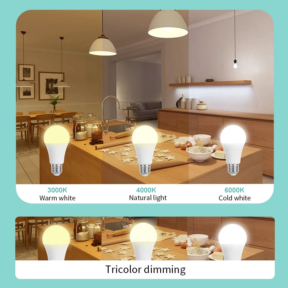 LED Light Bulbs Set (5-Pack)