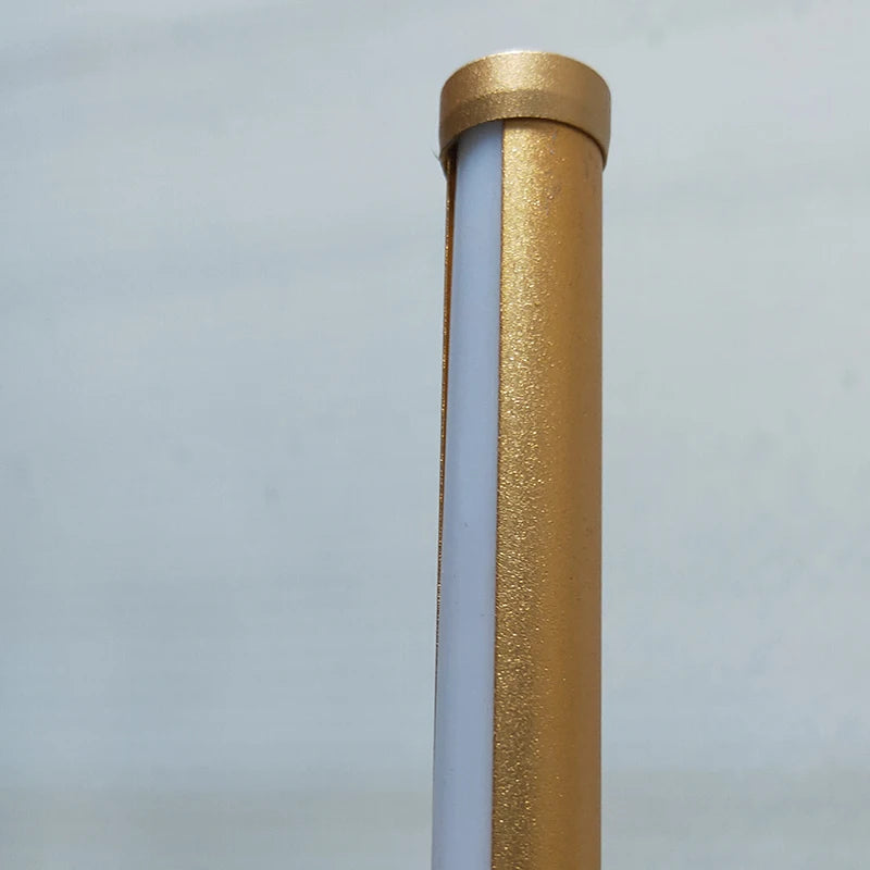 Nordic Gold Minimalist LED Floor Lamp