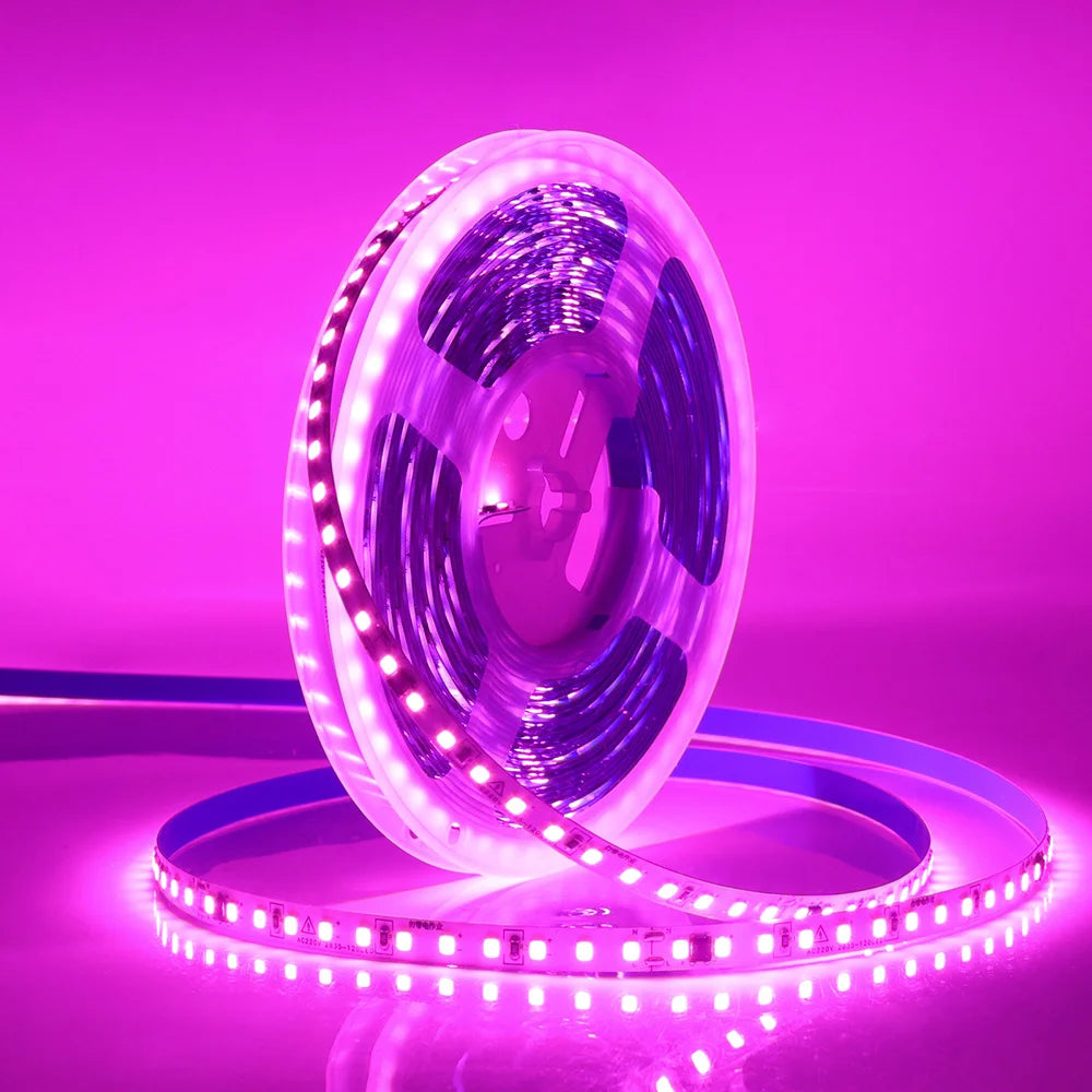 220V Flexible Adhesive LED Strip Light
