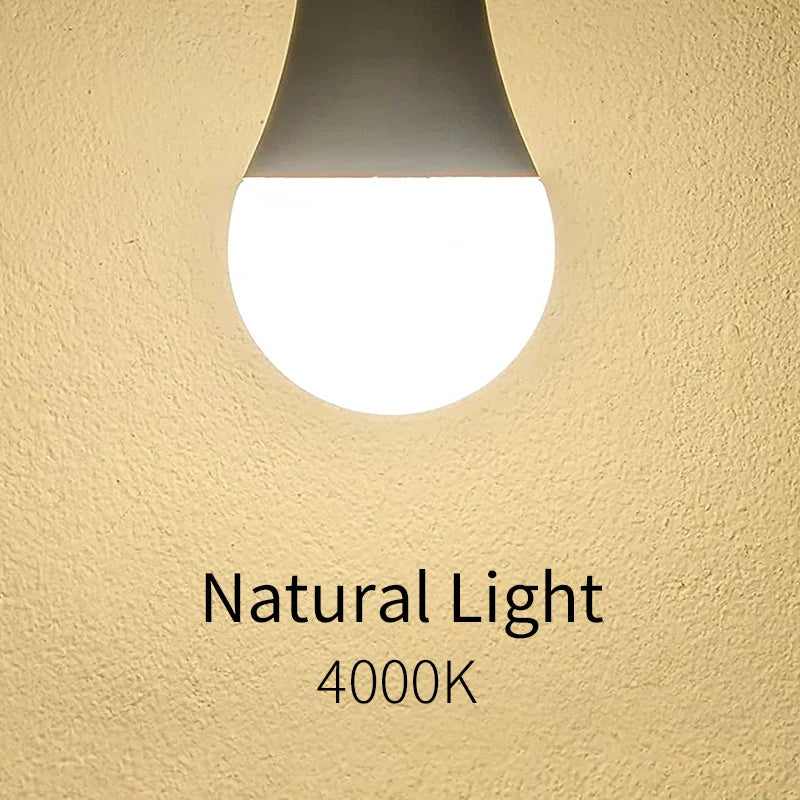LED Light Bulbs Set (5-Pack)