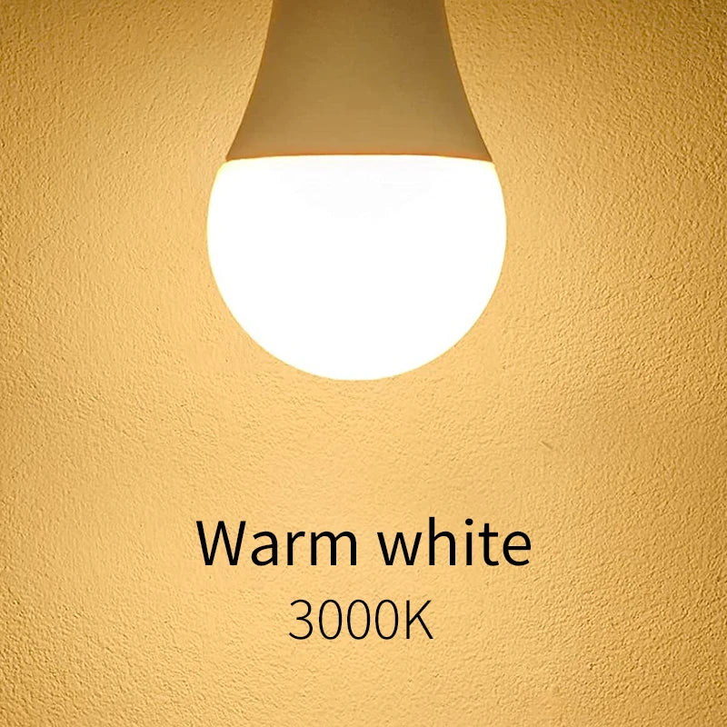 LED Bulb Set – Multiple Wattages