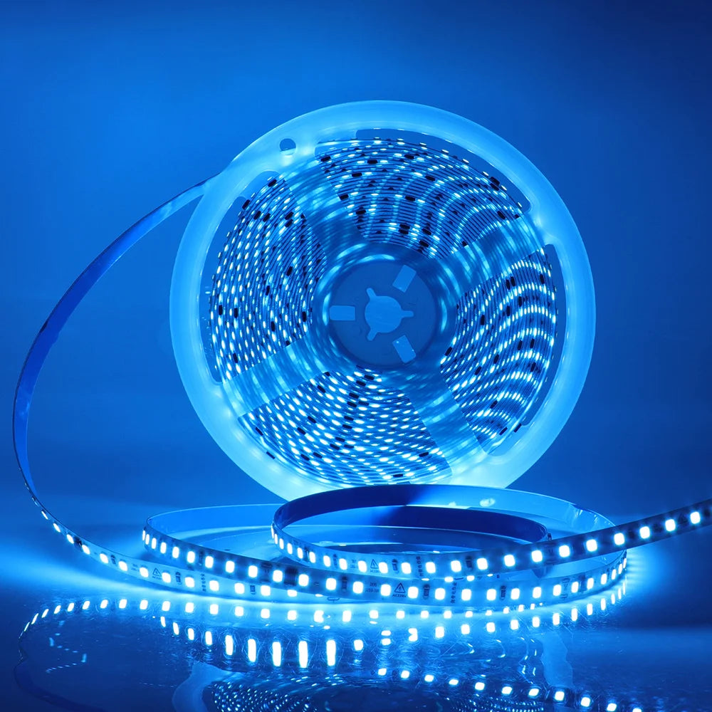 220V Flexible Adhesive LED Strip Light