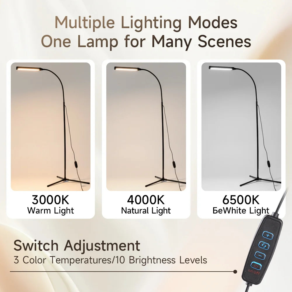 Dimmable LED Floor Lamp for Bedroom & Study