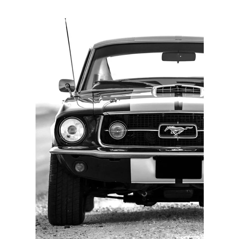 Modern Black & White Luxury Car Canvas Wall Art